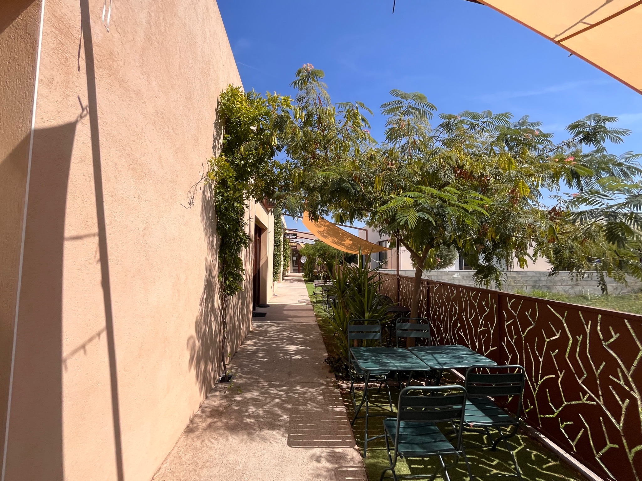 Terrasse ombragée du Local 1